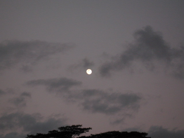 moon1.jpg